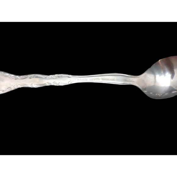 Michael Lloyd Stainless MLL2 Fruit Spoons Set Of 12 - Picture 2 of 4